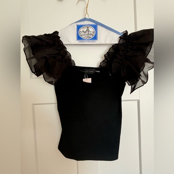 NWT. Organza Ruffle Sleeve Knit Top. Women’s size Large. - Picture 1 of 8